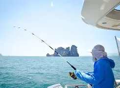 海钓书网盘(海洋垂钓系统) 海钓书网盘(海洋垂钓系统)