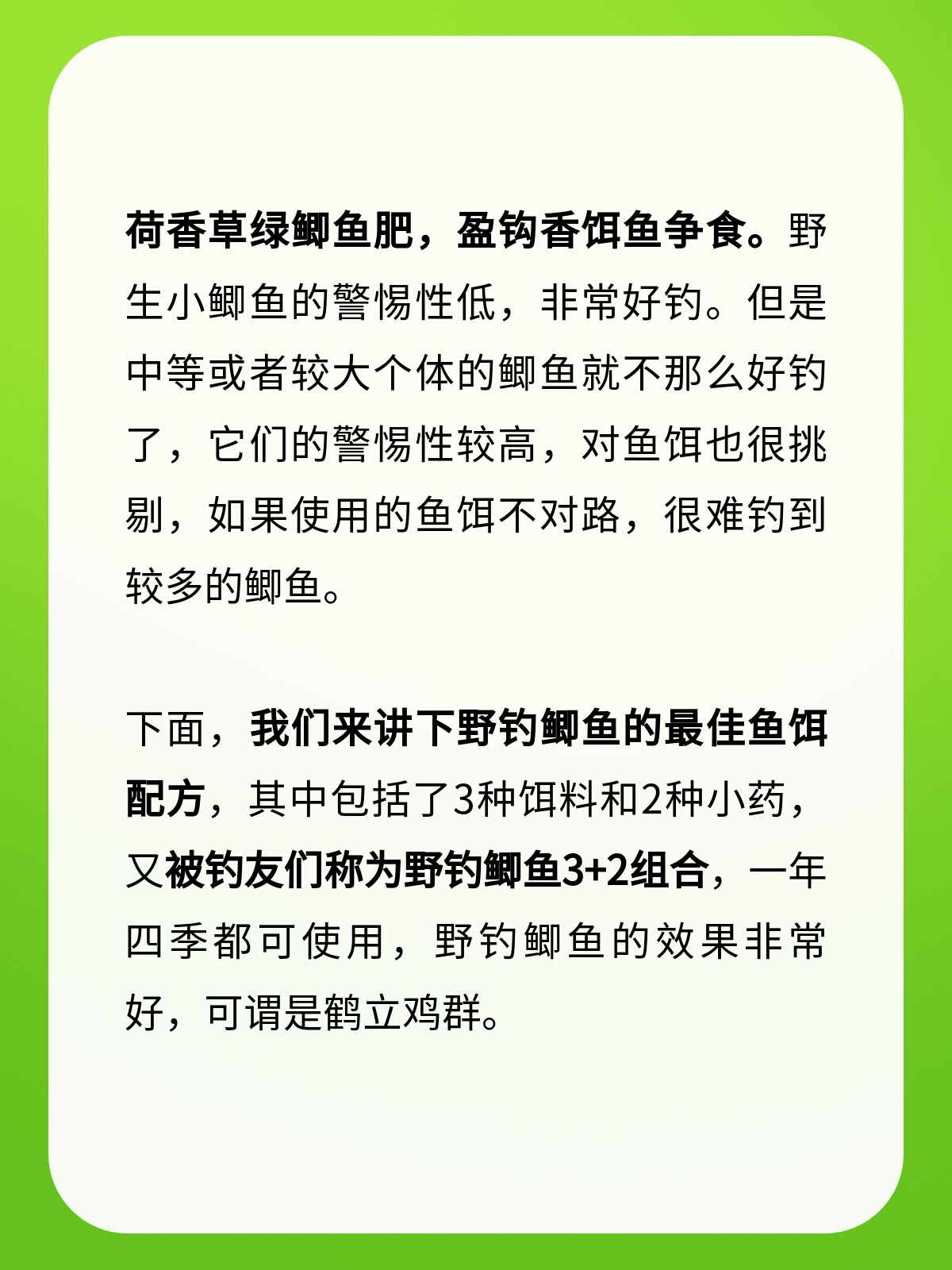 冬天钓大鲫鱼饵料配方(冬天钓大鲫鱼饵料配方大全) 冬天钓大鲫鱼饵料配方(冬天钓大鲫鱼饵料配方大全)