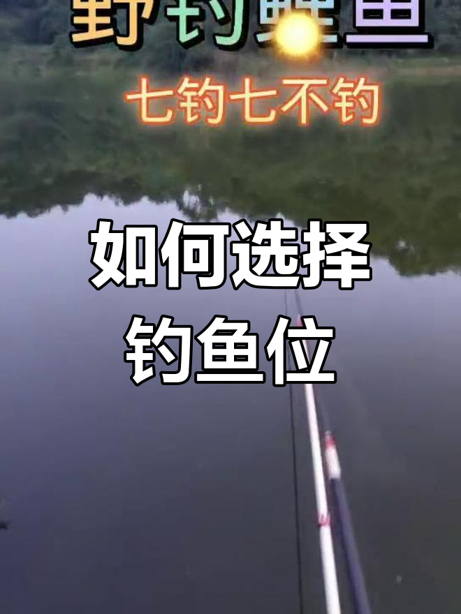 垂钓鲤鱼教学技巧视频(专钓鲤鱼视频大全) 垂钓鲤鱼教学技巧视频(专钓鲤鱼视频大全)