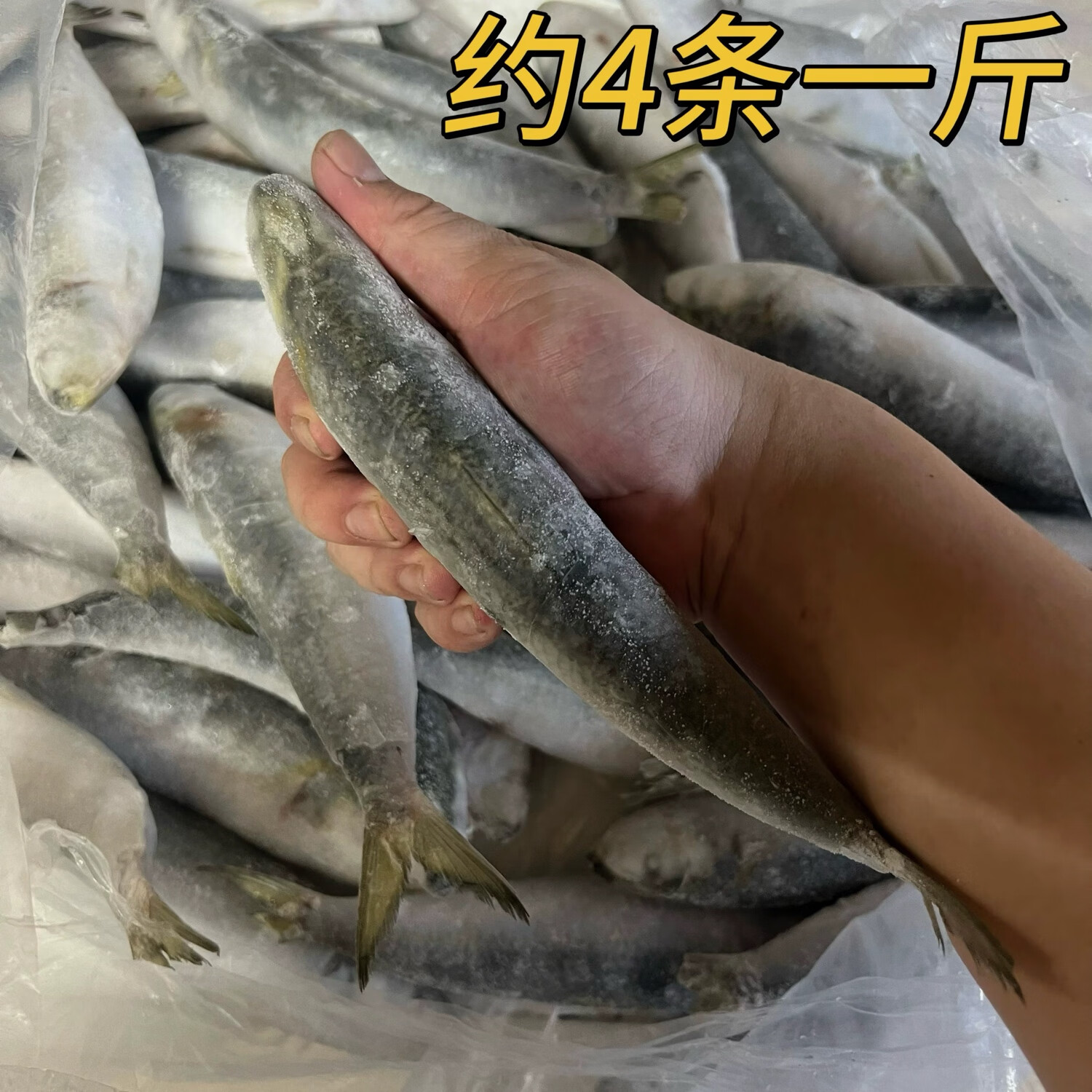 同安海钓在哪买钓饵(厦门同安钓点) 同安海钓在哪买钓饵(厦门同安钓点)