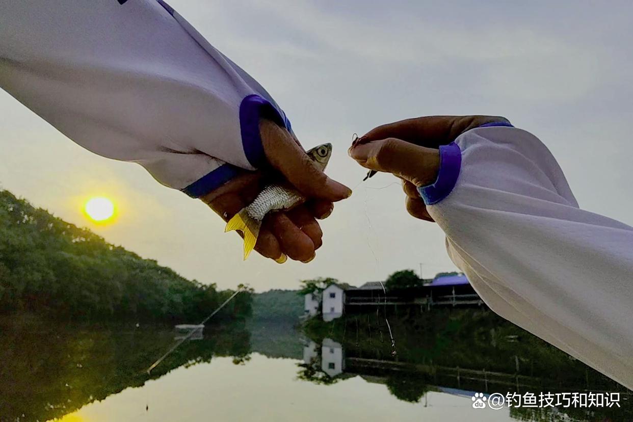 春天钓黄尾技巧(春季钓黄尾技巧) 春天钓黄尾技巧(春季钓黄尾技巧)