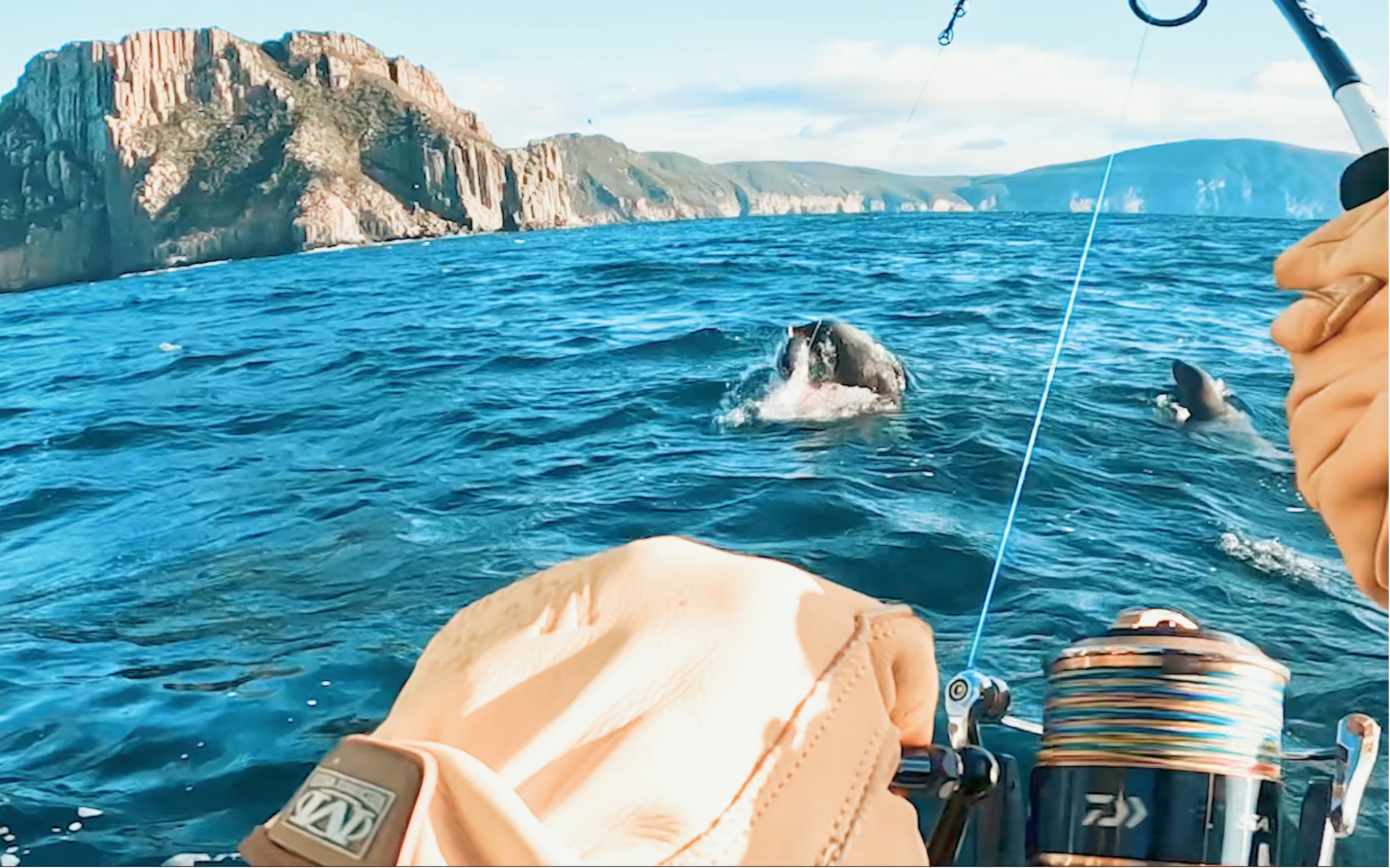 海钓海底的(海钓钓底能钓到什么鱼)