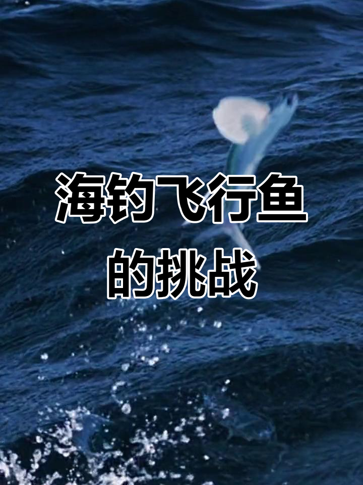 海钓海底的(海钓钓底能钓到什么鱼)