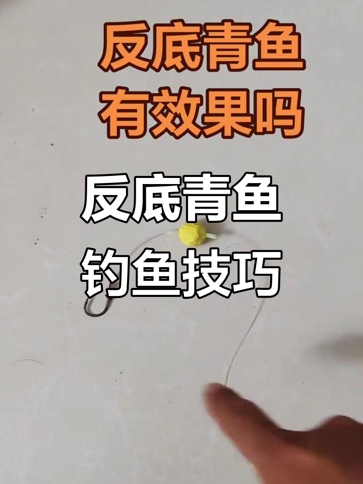 青鱼钓法技巧(青鱼钓法技巧口诀) 青鱼钓法技巧(青鱼钓法技巧口诀)