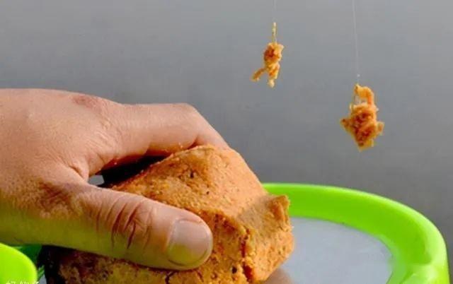 饵料需要搓拉嘛(饵料钓鱼要一直拉吗) 饵料需要搓拉嘛(饵料钓鱼要一直拉吗)