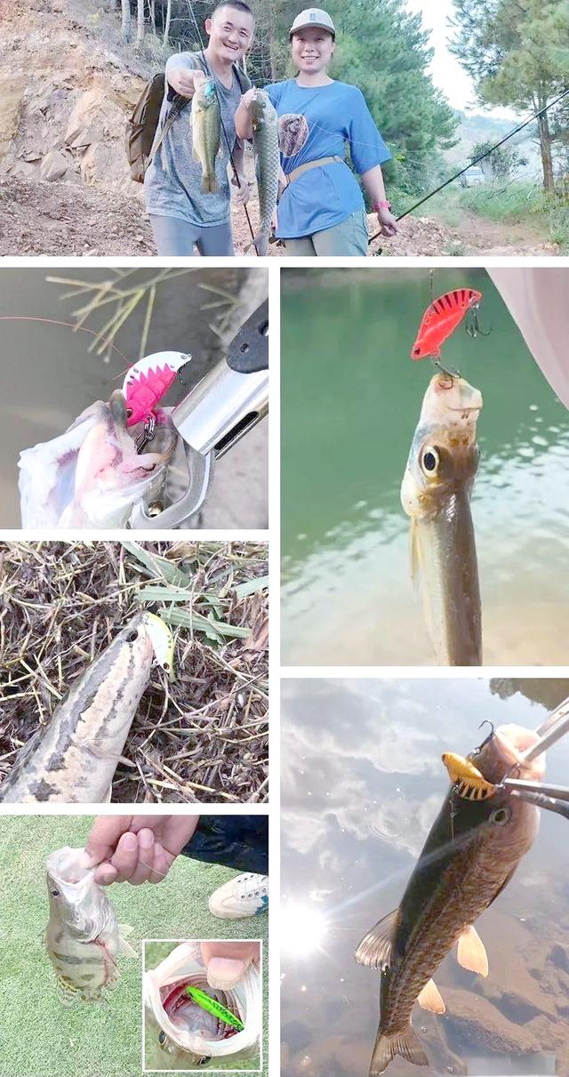 路亚vib(路亚vib是什么意思) 路亚vib(路亚vib是什么意思)