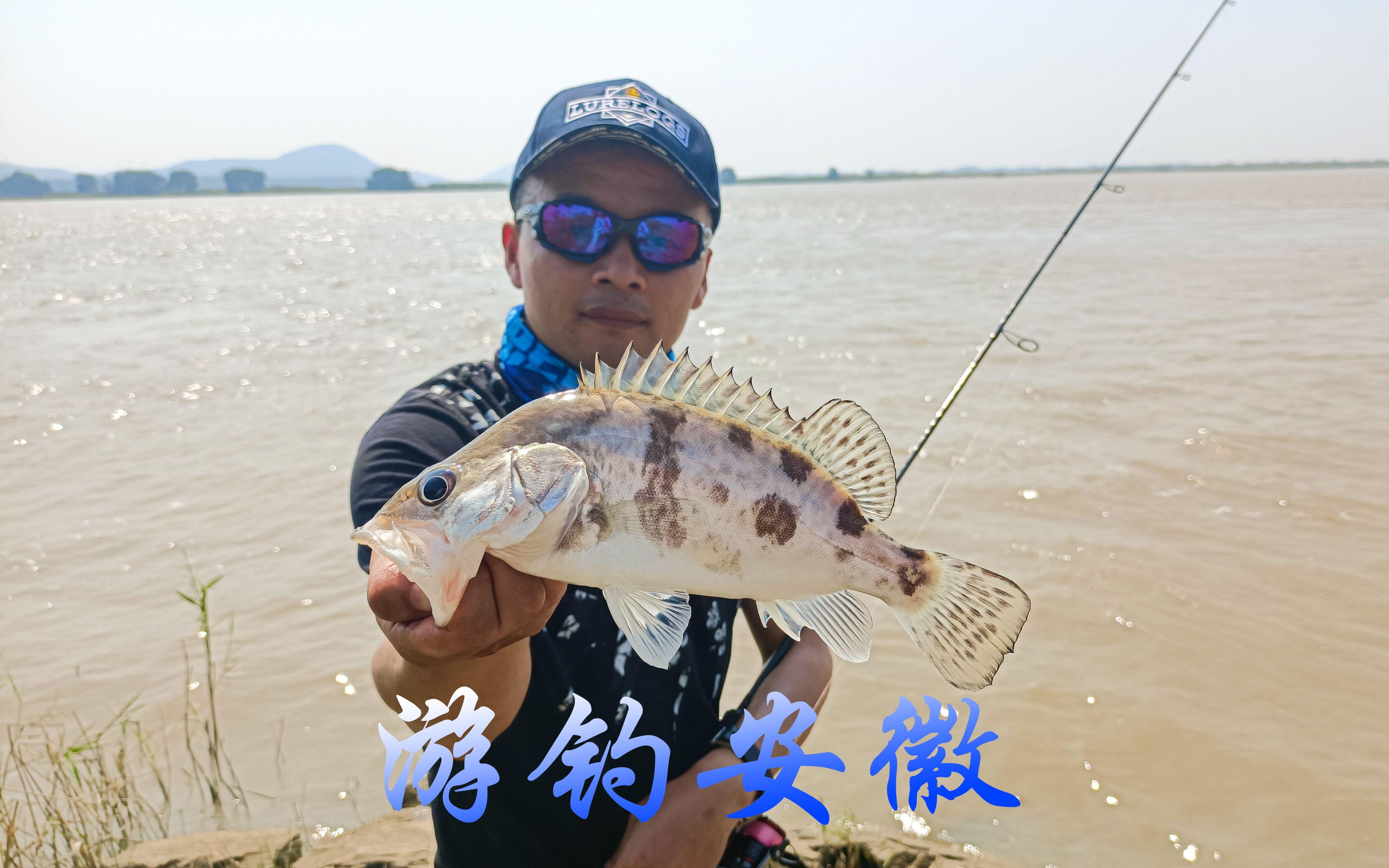 鲦鱼路亚(鮰鱼 路亚) 鲦鱼路亚(鮰鱼 路亚)