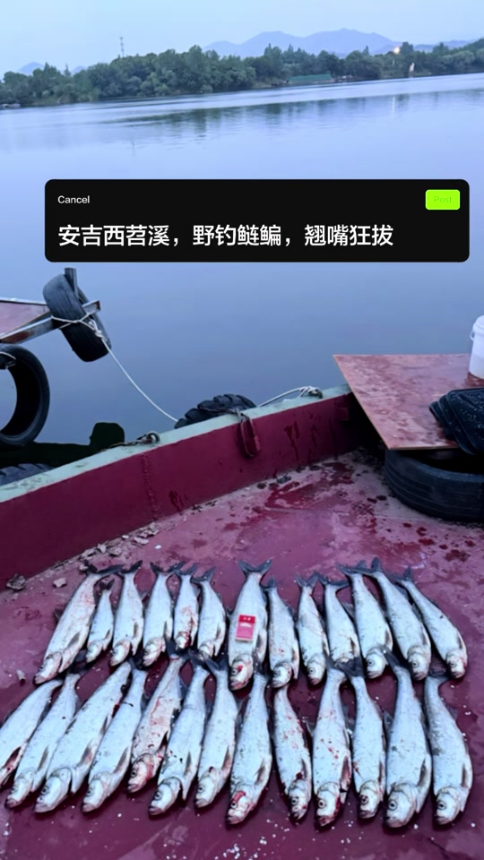 邓刚钓鲢鳙技巧(邓刚钓鲢鳙技巧分享) 邓刚钓鲢鳙技巧(邓刚钓鲢鳙技巧分享)