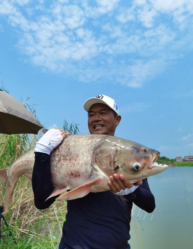 邓刚钓鲢鳙技巧(邓刚钓鲢鳙技巧分享) 邓刚钓鲢鳙技巧(邓刚钓鲢鳙技巧分享)