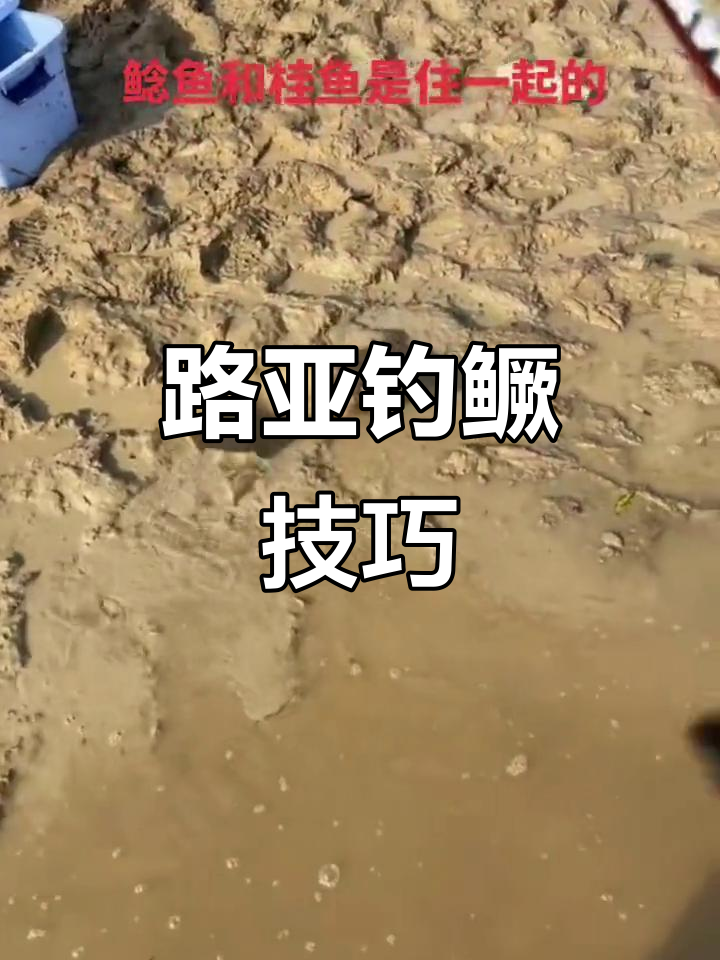 初春路亚钓桂鱼技巧(路亚钓桂鱼操作手法) 初春路亚钓桂鱼技巧(路亚钓桂鱼操作手法)