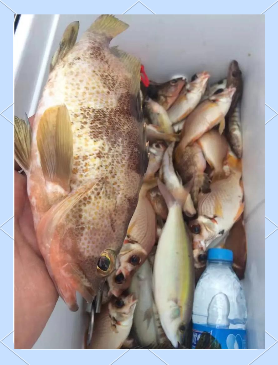 三亚渔民海钓(三亚海上钓鱼)