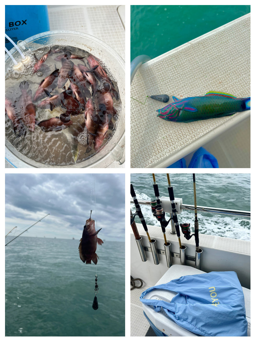 三亚渔民海钓(三亚海上钓鱼)