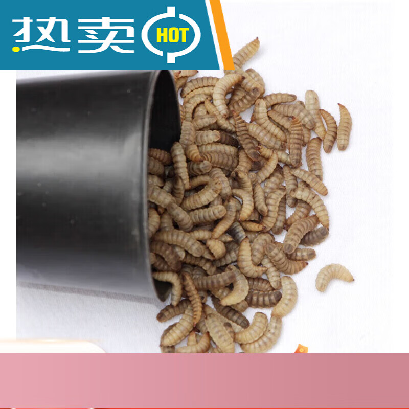 黑水用什么饵料(制作钓鱼黑水配方) 黑水用什么饵料(制作钓鱼黑水配方)