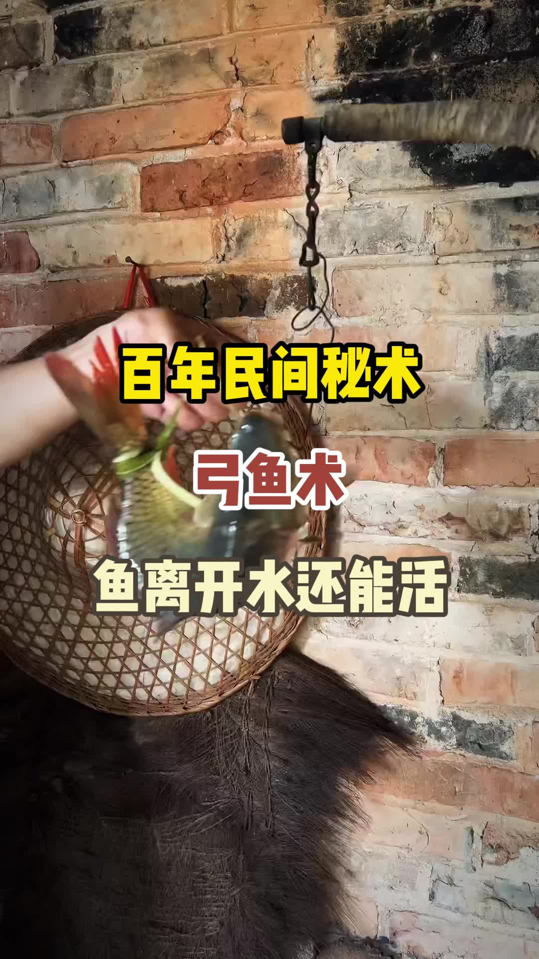 弹弓猎鱼技巧(弹弓猎鱼技巧视频) 弹弓猎鱼技巧(弹弓猎鱼技巧视频)