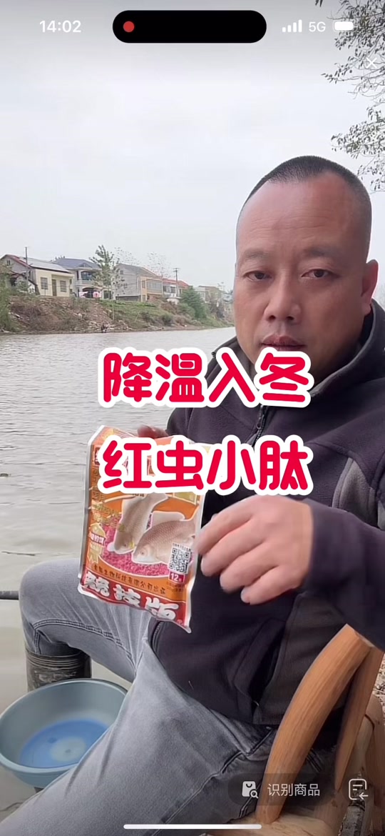 夏天钓鲫鱼用红虫技巧(钓鲫鱼用红虫调几钓几) 夏天钓鲫鱼用红虫技巧(钓鲫鱼用红虫调几钓几)