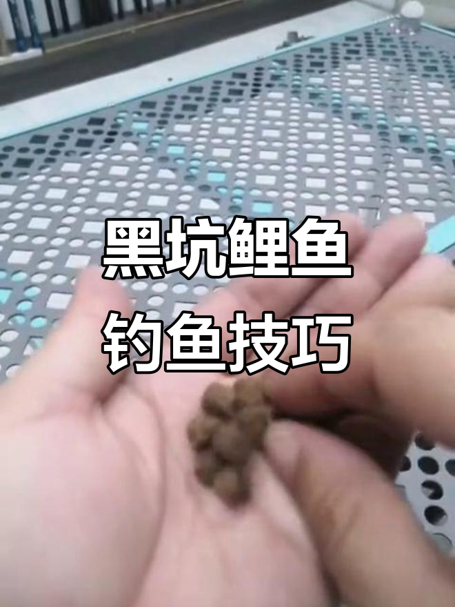 黑坑偷馿技巧(钓鱼黑坑偷驴) 黑坑偷馿技巧(钓鱼黑坑偷驴)