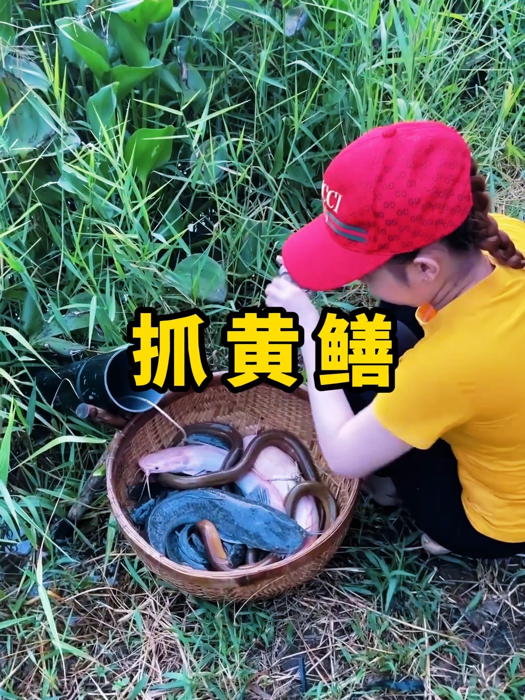 食指抓黄鳝技巧(食指抓黄鳝技巧视频) 食指抓黄鳝技巧(食指抓黄鳝技巧视频)
