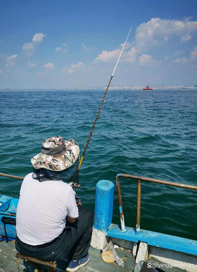 青岛哪里可以海钓鱼(青岛海边钓点) 青岛哪里可以海钓鱼(青岛海边钓点)