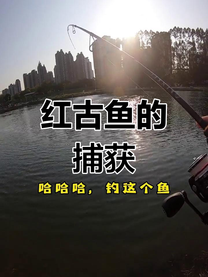 东莞周末海钓(东莞野钓点) 东莞周末海钓(东莞野钓点)