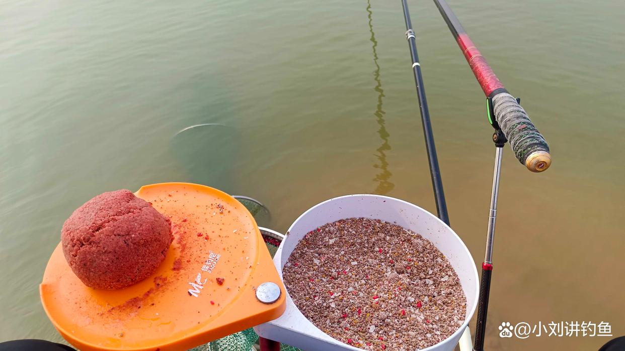 鲤鱼遛鱼技巧(钓鲤鱼遛鱼技巧) 鲤鱼遛鱼技巧(钓鲤鱼遛鱼技巧)