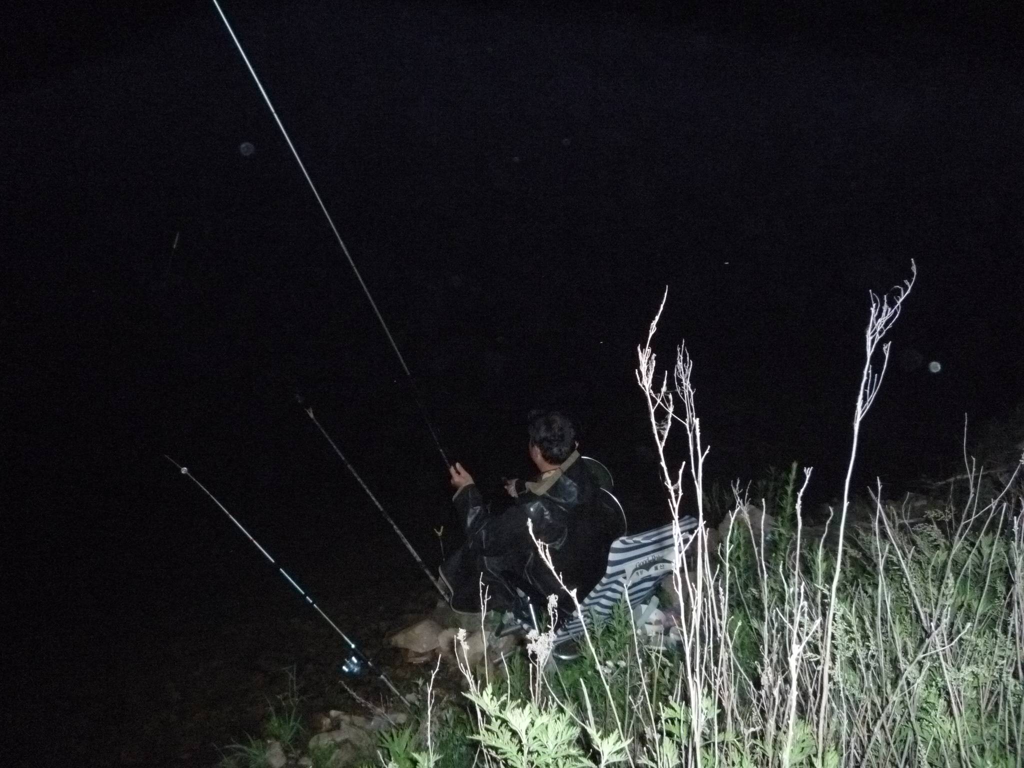 入秋后夜钓技巧(入秋后夜钓选择深水还是浅水) 入秋后夜钓技巧(入秋后夜钓选择深水还是浅水)