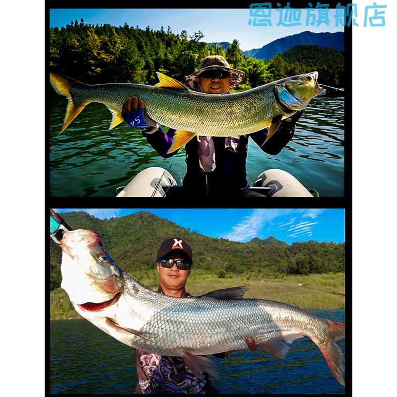 路亚大河奔流(路亚大河奔流标志)