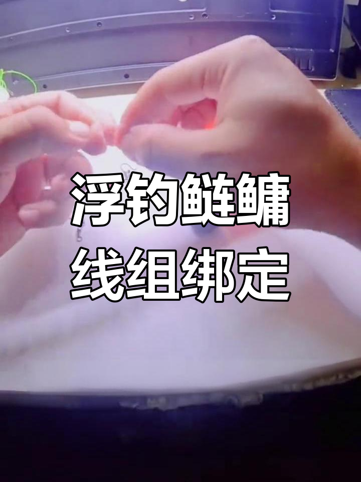 野河浮钓鲢鳙技巧(穿成德拉科妹妹爱丽丝)