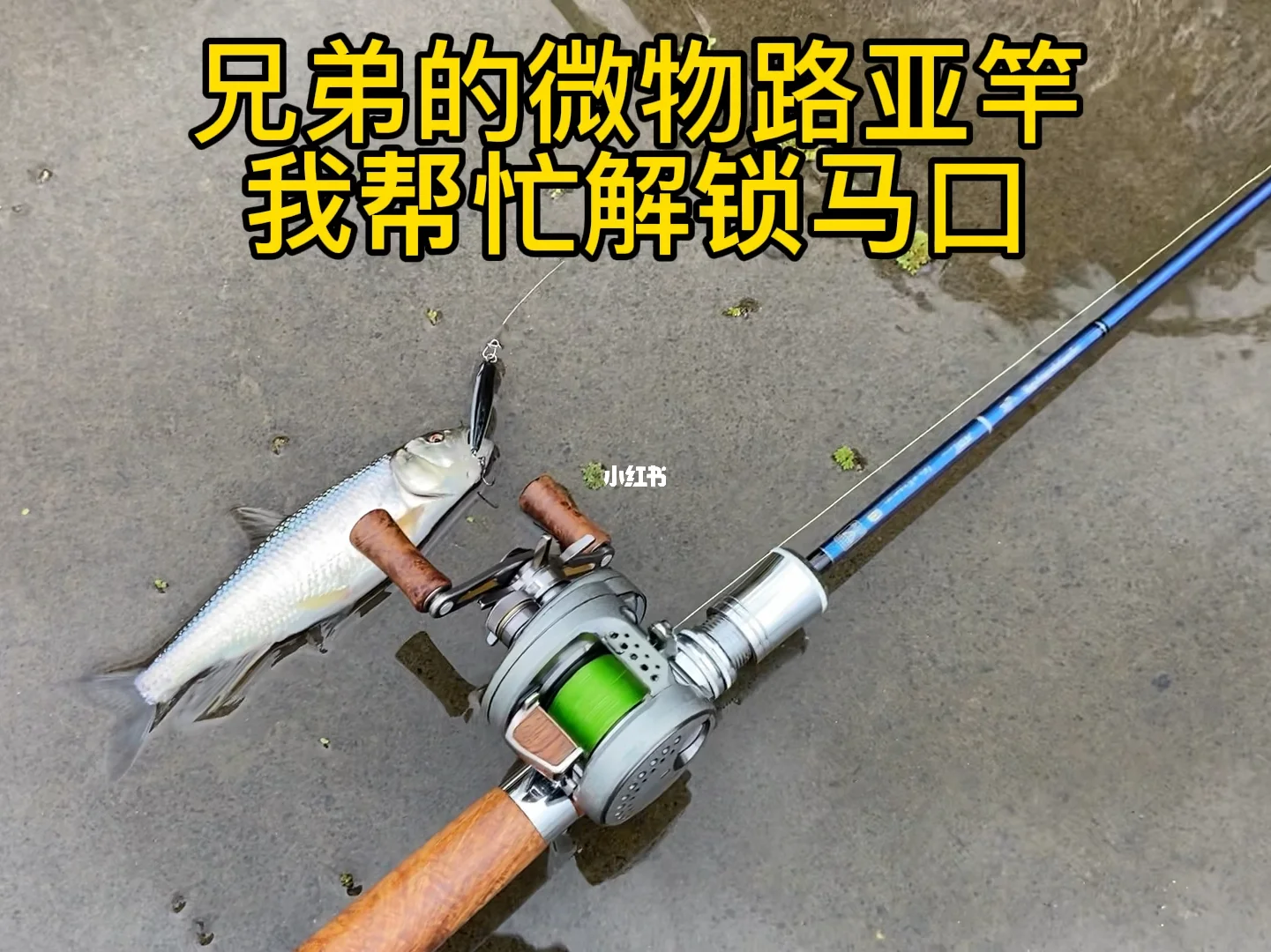 开个路亚店(开个路亚钓场)