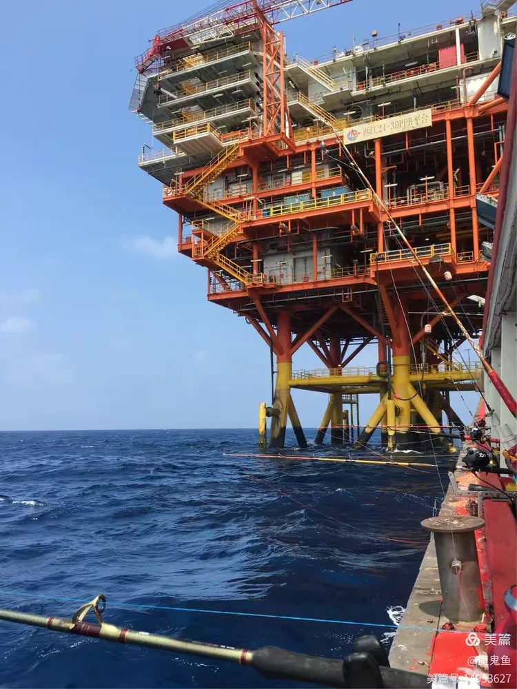 982浮台南油海钓位置(海钓石斑鱼钓底还是钓浮)