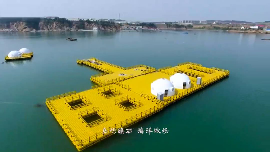 北方海钓钓场(北方海钓什么季节钓什么鱼)