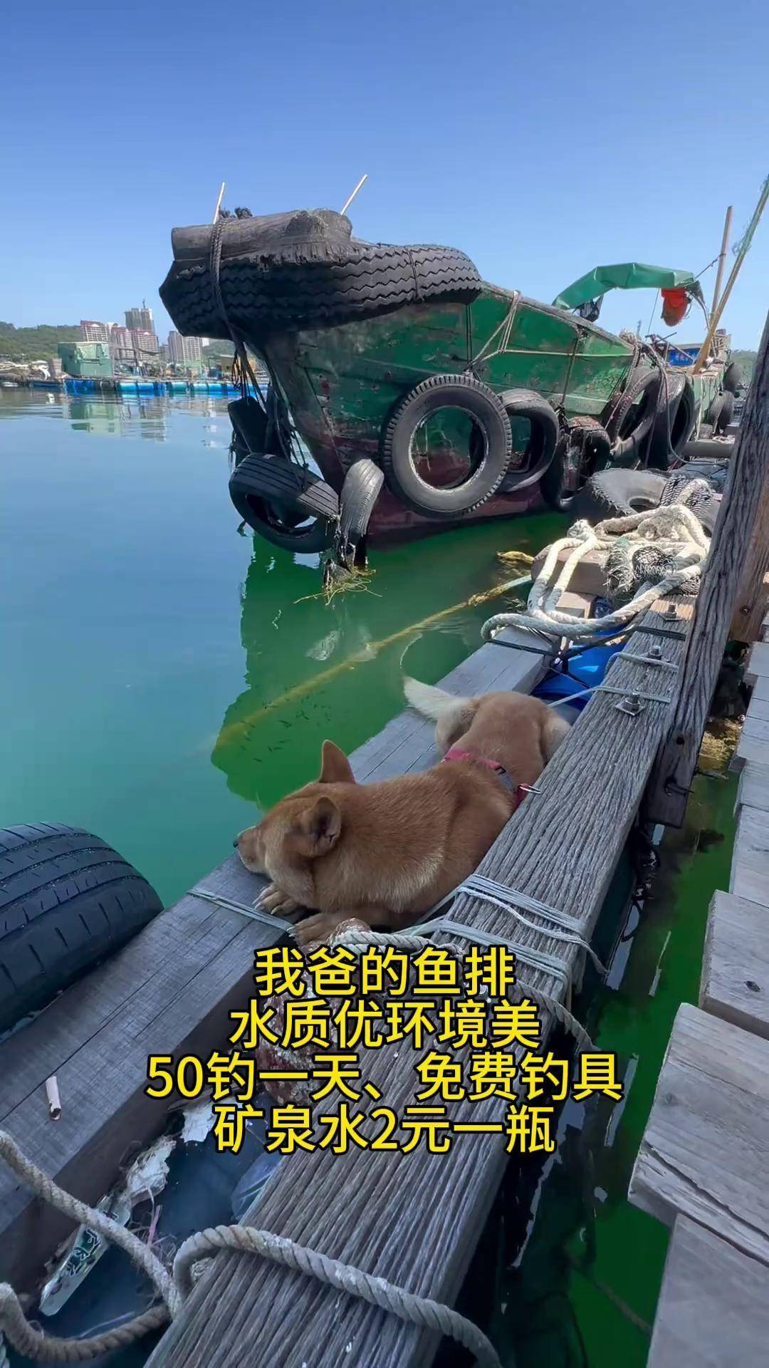 江湖深水魚排釣魚技巧(冬天深水野钓鲫鱼技巧)