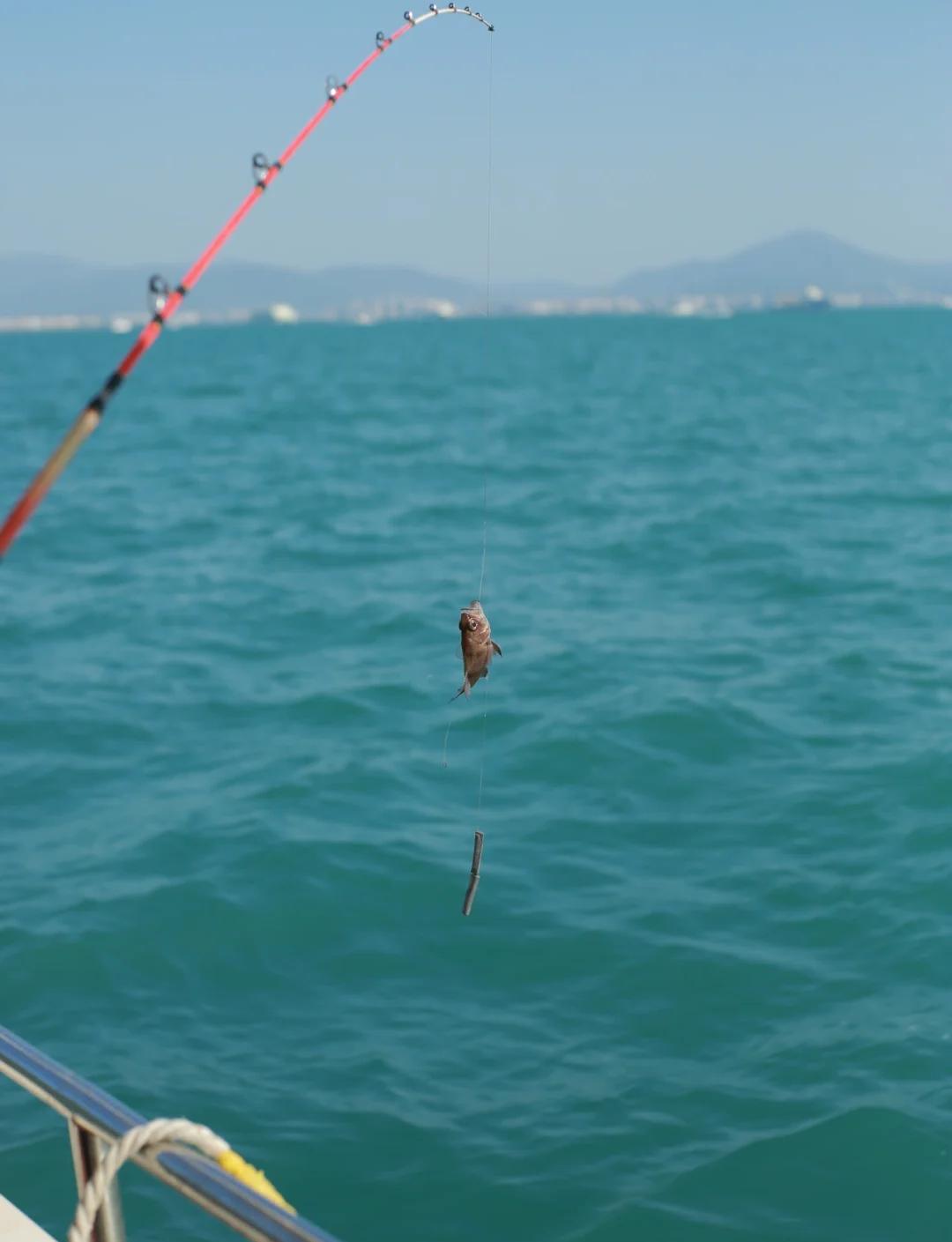 文昌七州列岛海钓(文昌七乡)
