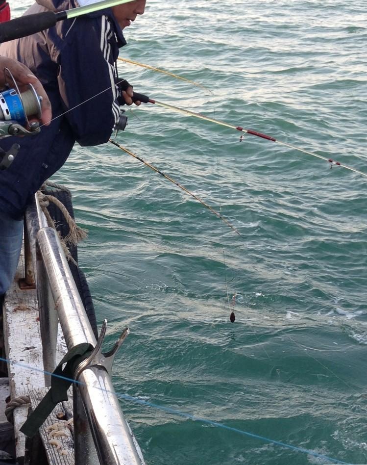 海钓飞机流是什么(海钓漂流钓法)