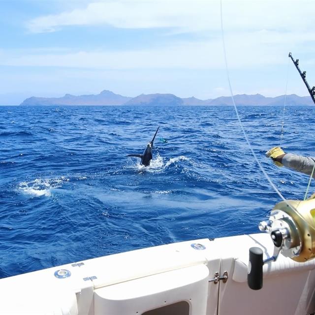 舟山深海钓鱼(舟山海钓鱼视频)