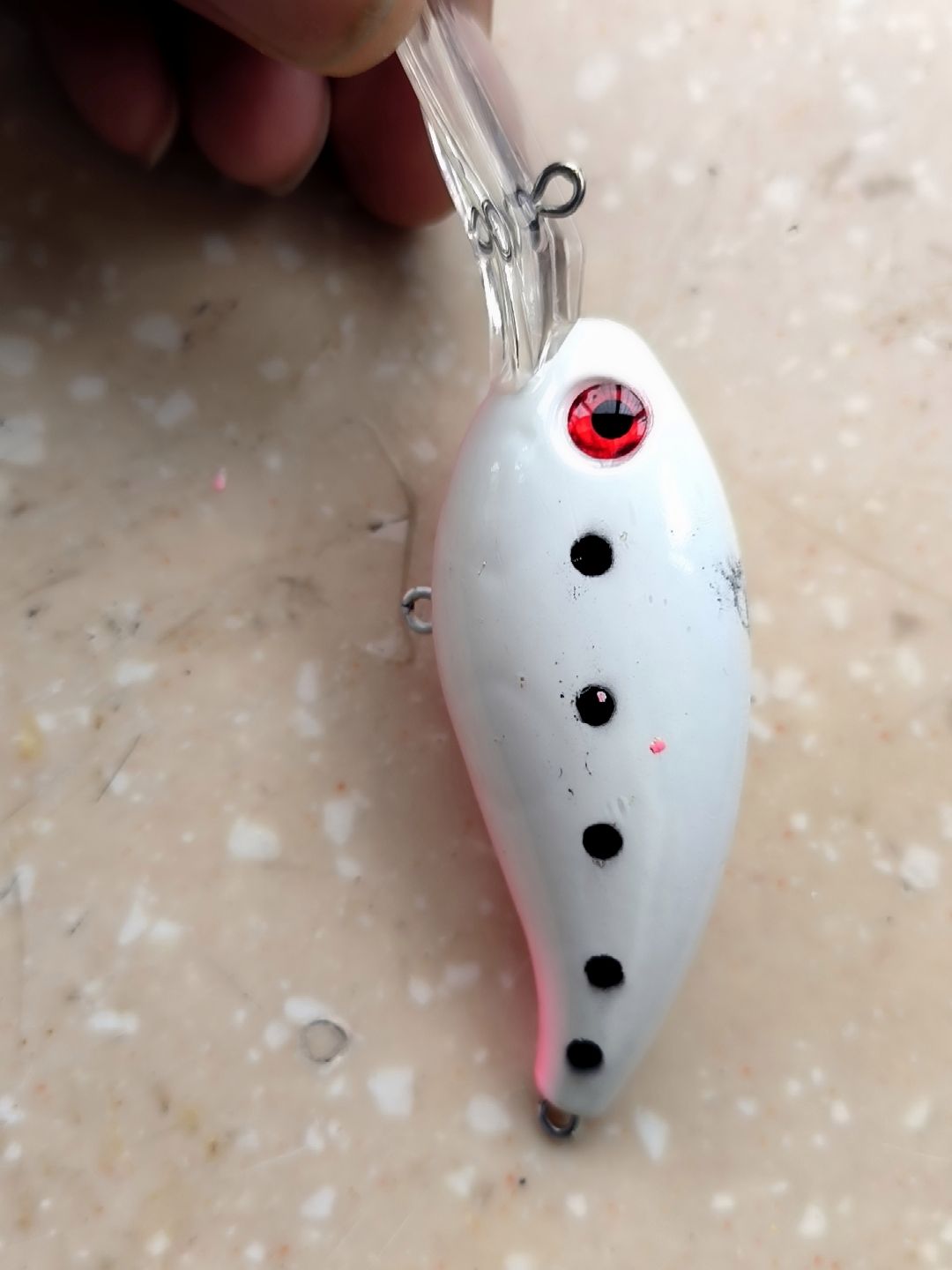 海钓入门挂饵(海钓挂饵方法)