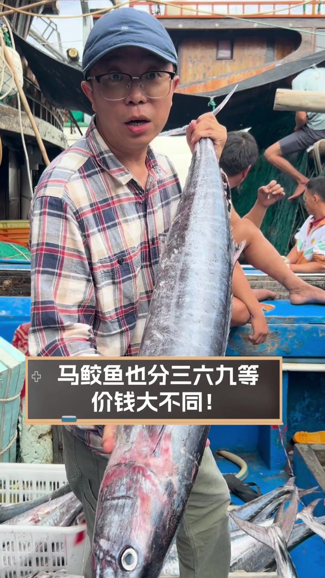 出大海钓马鲛鱼视频(海钓马鲛鱼技巧)