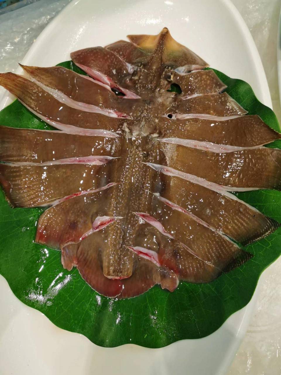 海钓老板鱼(海钓鲅鱼的最佳方法)