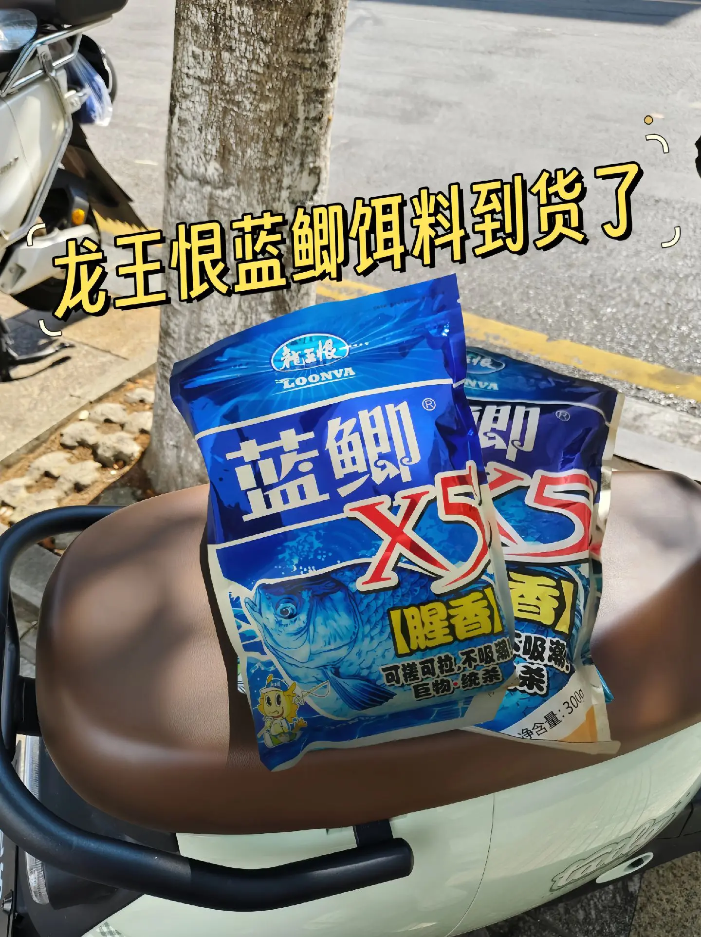 野战蓝鲫有假饵料(野战蓝鲫有没有假的)