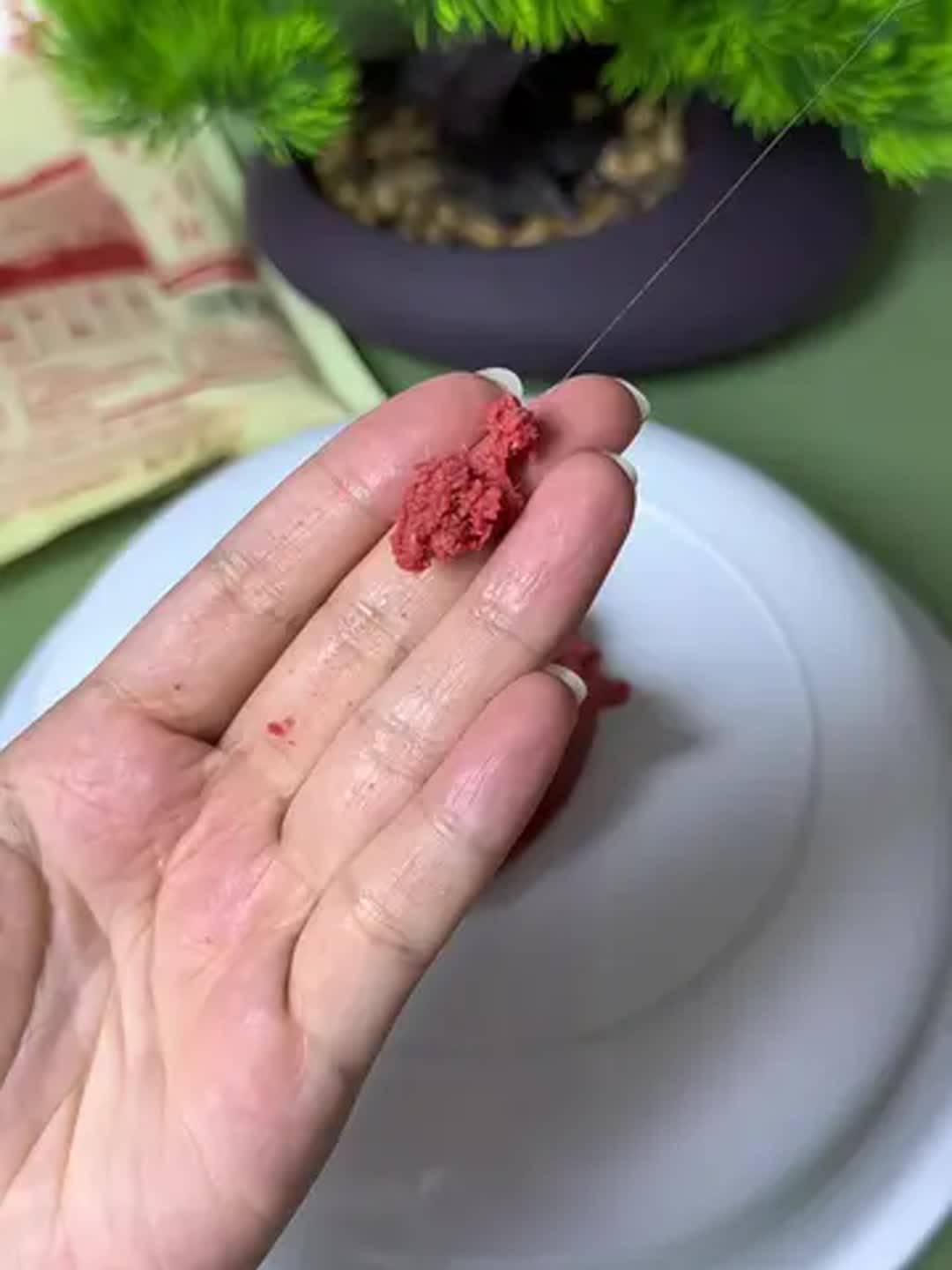 无倒刺钩挂什么饵料(无倒刺钩容易脱钩吗)