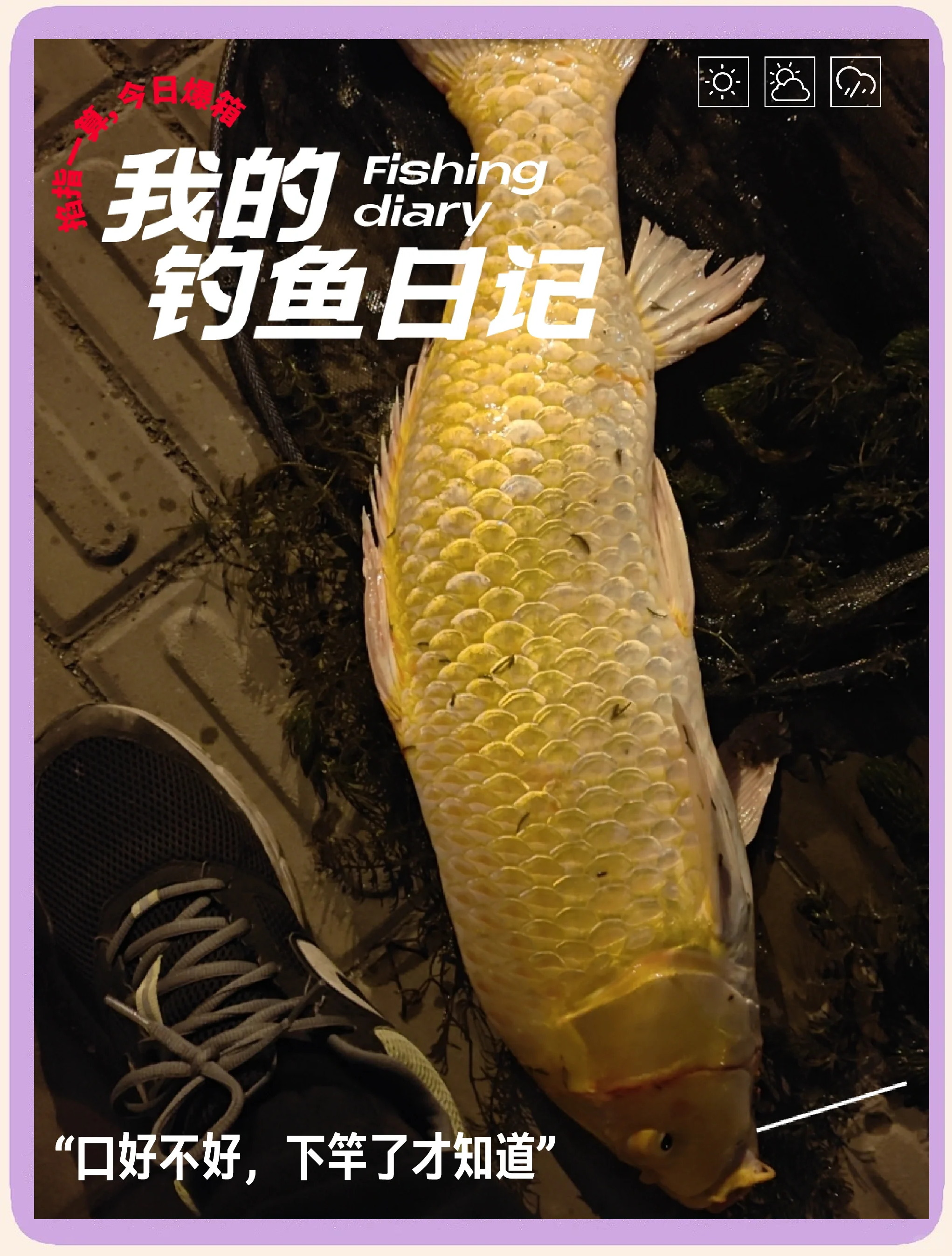 北方中秋路亚技巧(910月钓翘嘴技巧)