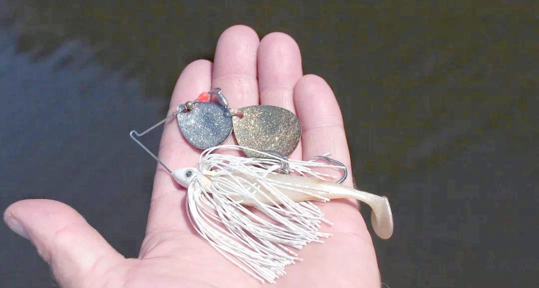 北方中秋路亚技巧(910月钓翘嘴技巧)