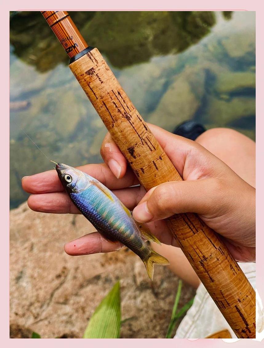 溪流钓白小技巧(溪流野钓技巧)