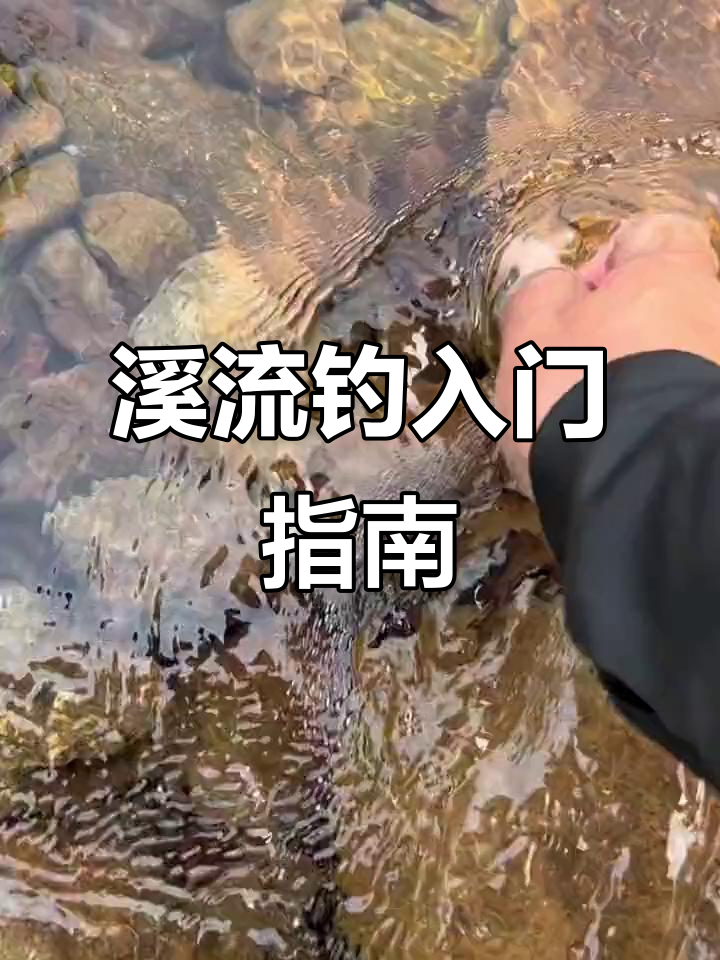 溪流钓白小技巧(溪流野钓技巧)