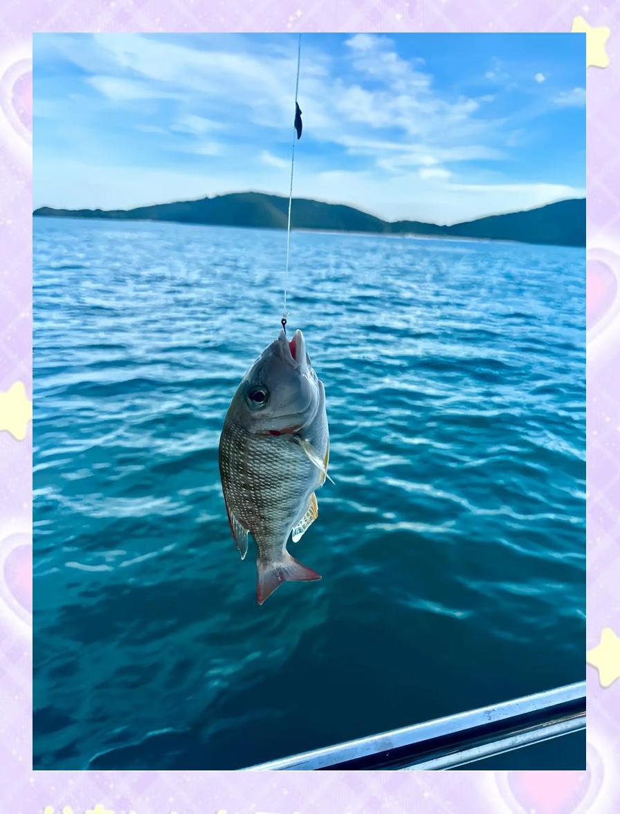 马来西亚那里海钓(马来西亚海钓价格行情)