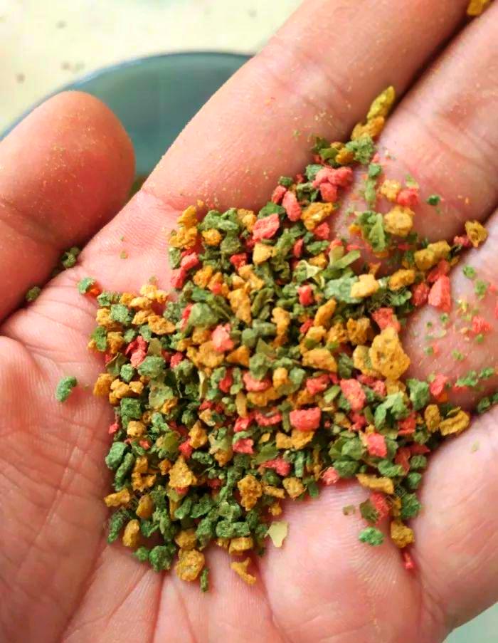 自制海杆鲤鱼饵料(自制特效鲤鱼饵料海竿)