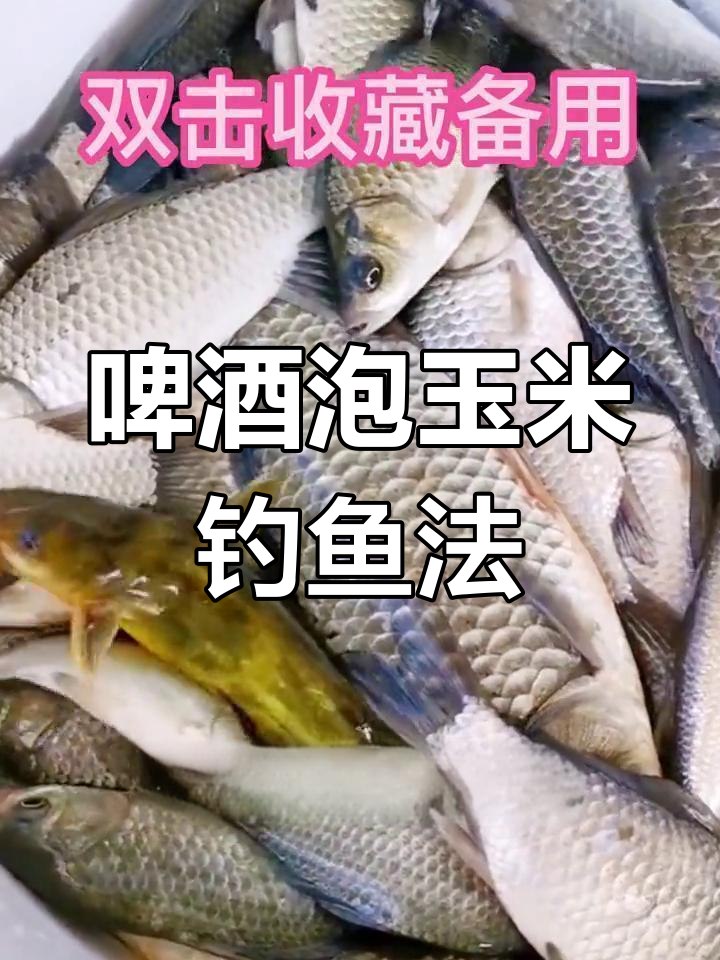 自制海杆鲤鱼饵料(自制特效鲤鱼饵料海竿)