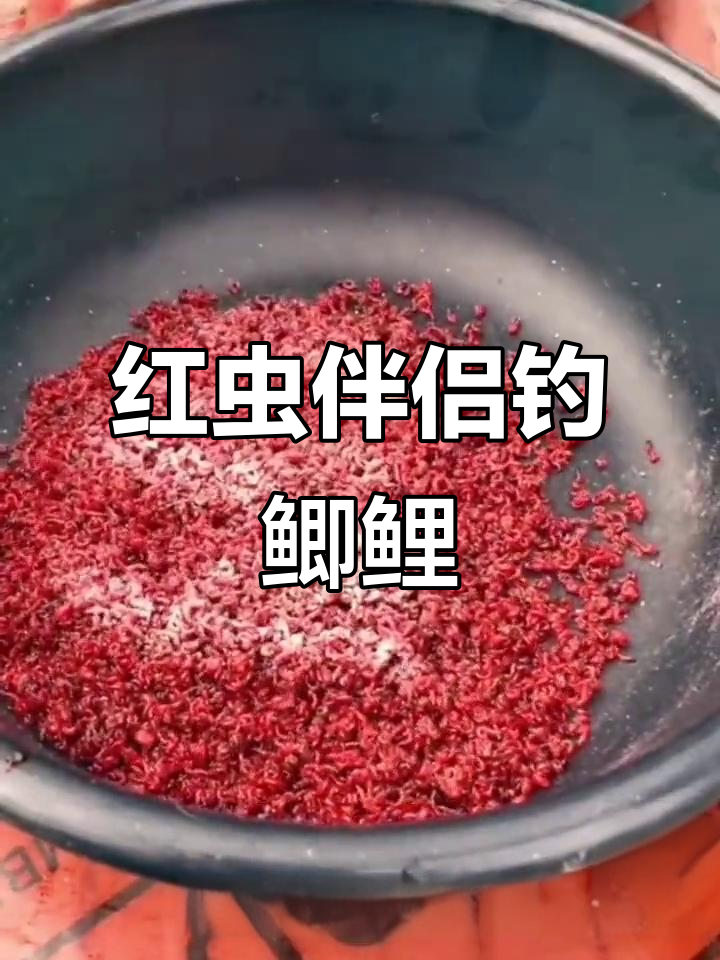 可以吃的饵料(可以吃的饵料钓鱼)