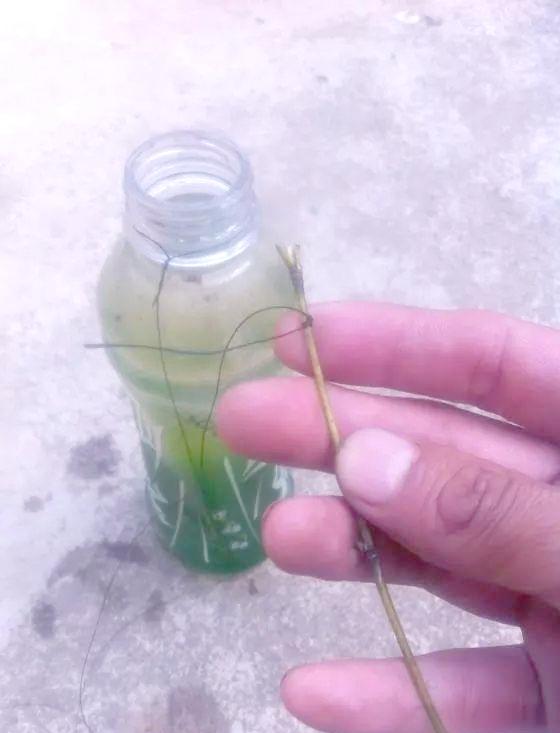 在家做手工做渔具(渔具的制作方法的视频)