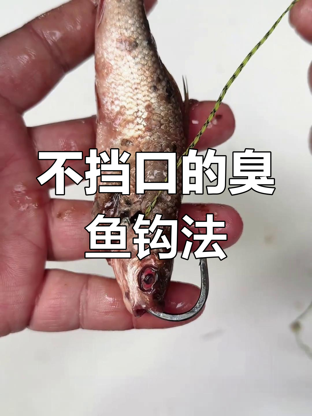 鱼食挂勾技巧(鱼食挂钩技巧)