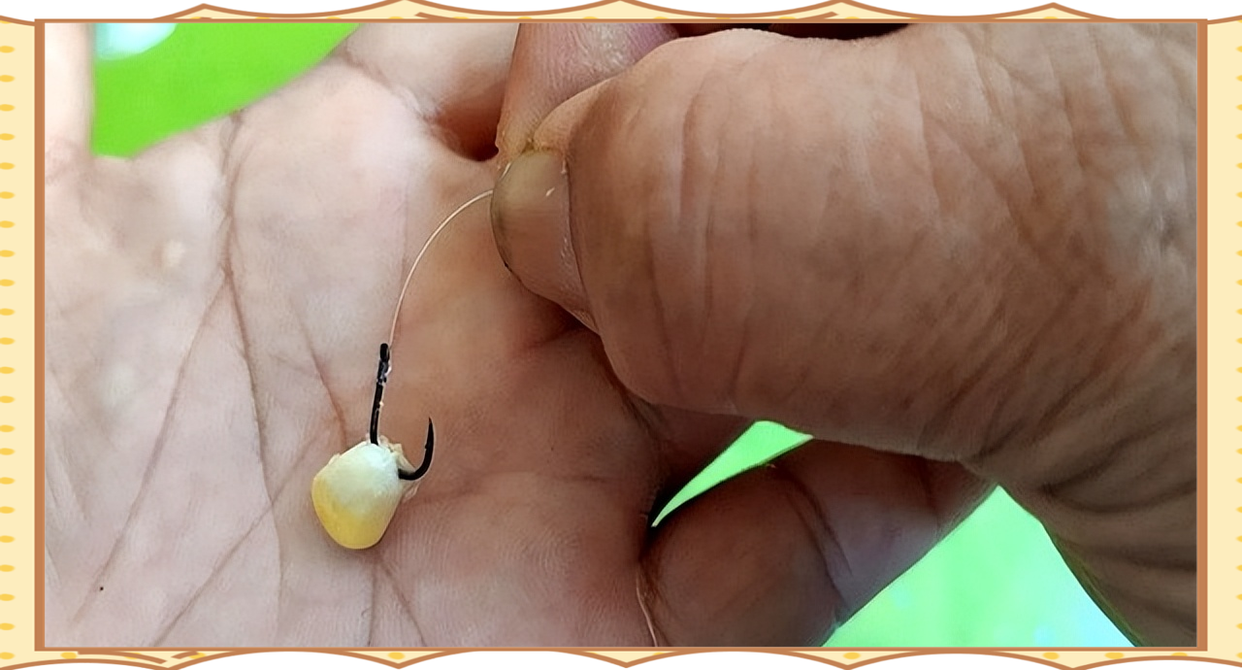 鱼食挂勾技巧(鱼食挂钩技巧)
